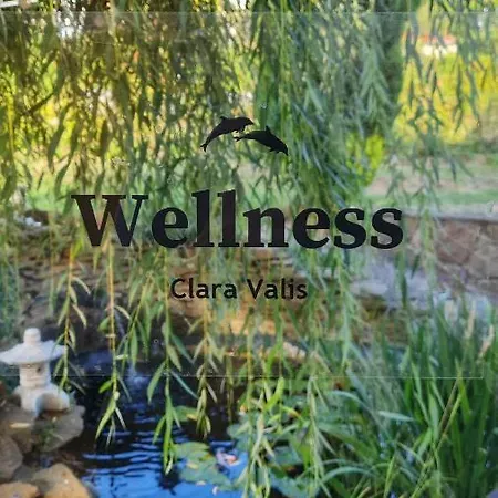 Clara Valis - *