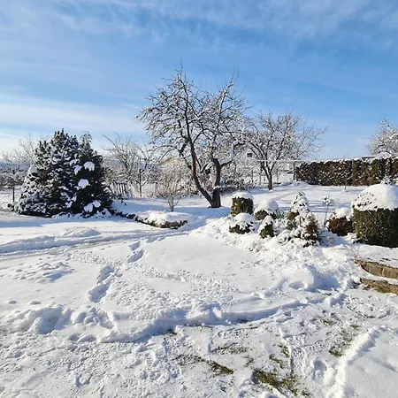 Clara Valis - Prázdninový dům