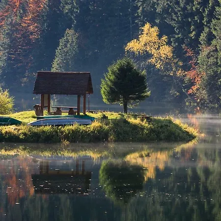 Clara Valis - Dolany