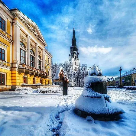 Feriehus Clara Valis - Dolany