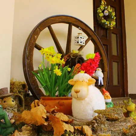 Clara Valis - Prázdninový dům Dolany