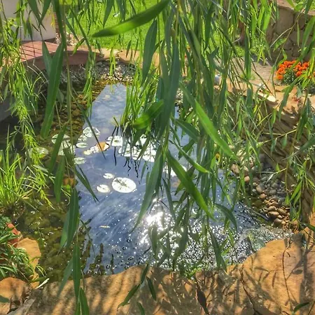 Clara Valis - * Dolany