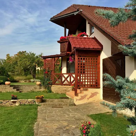 Clara Valis - Prázdninový dům Dolany